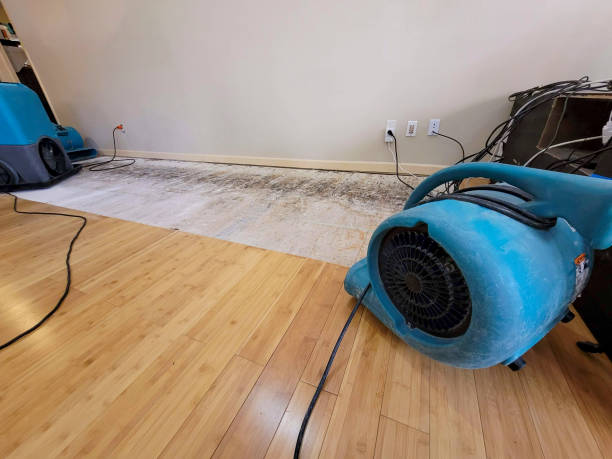 Professional Water Removal technician working in Spring Valley, CA